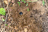 В Саратове поймали 18-летнего закладчика синтетики