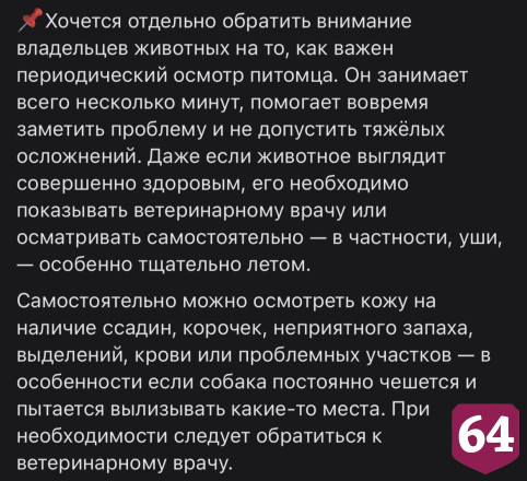 Саратовские ветеринары спасли собаку с личинками мух в ушах